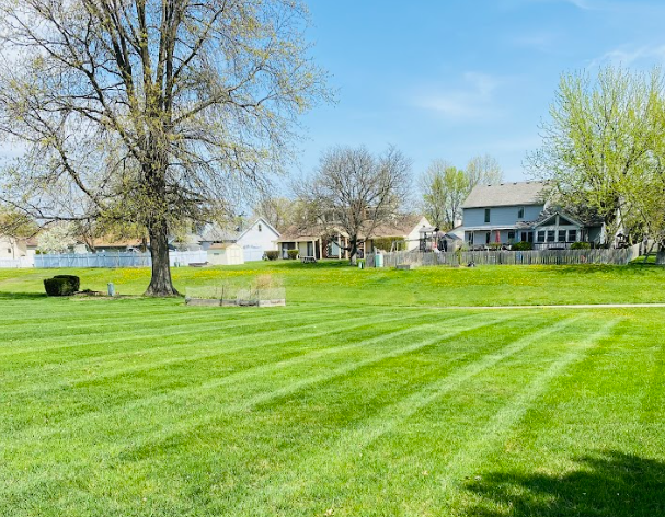 a bright green lawn
