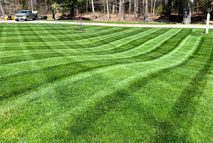 a lawn mowed with mowing stripes