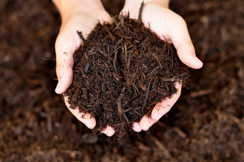 hands holding hardwood mulch