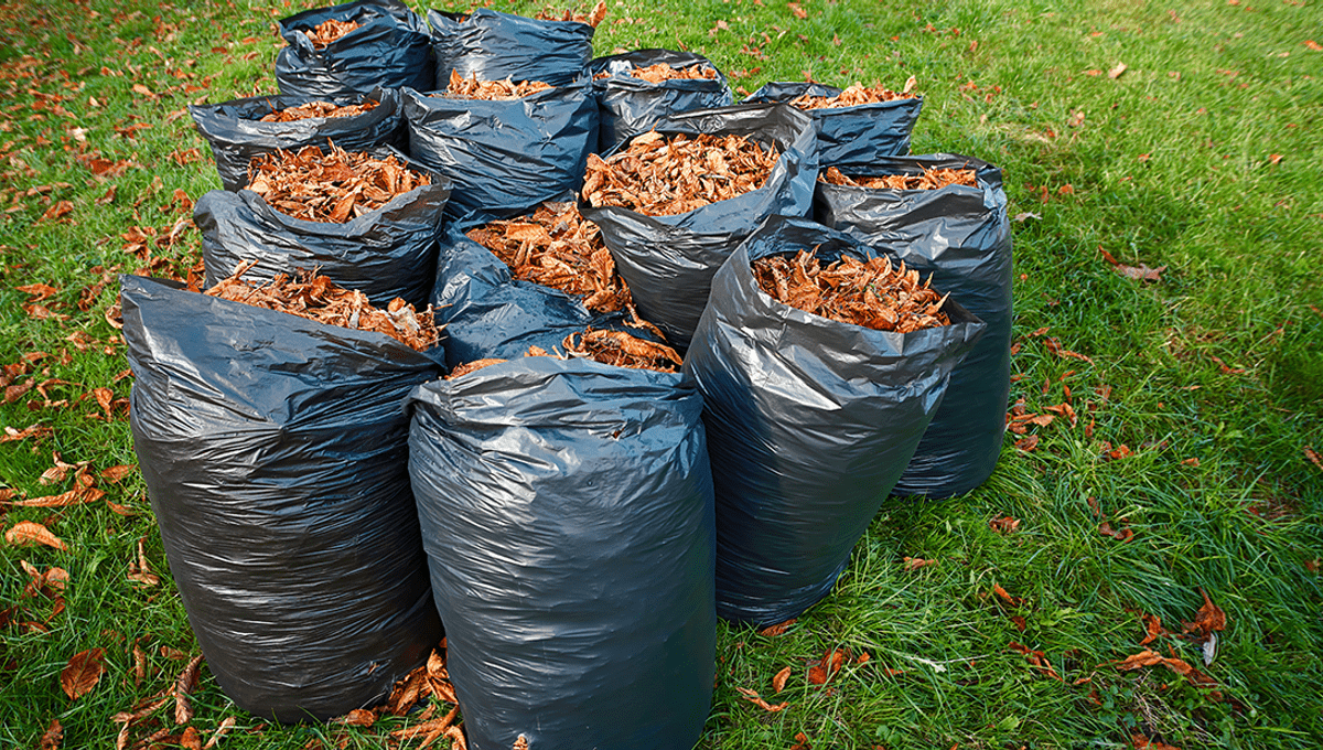 bags of brown leaves