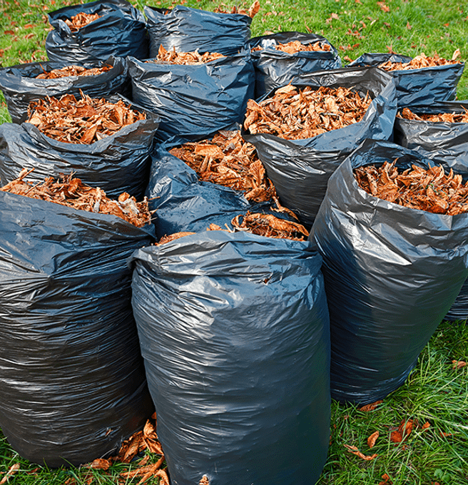 bags of fall leaves