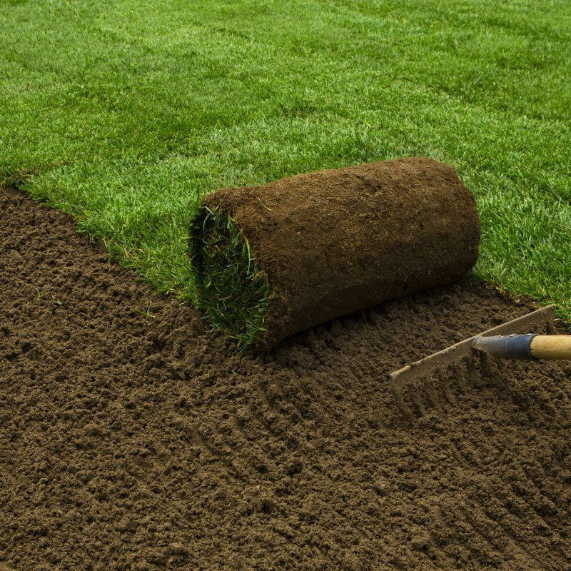 rake leveling dirt before sod is rolled out