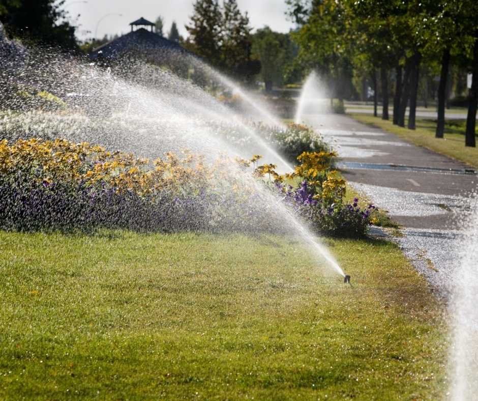 sprinklers spraying grass