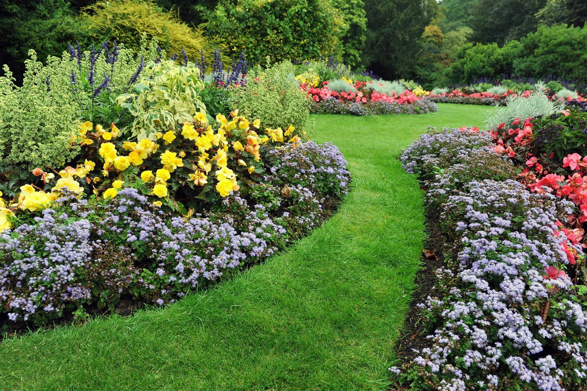 Flowerbeds