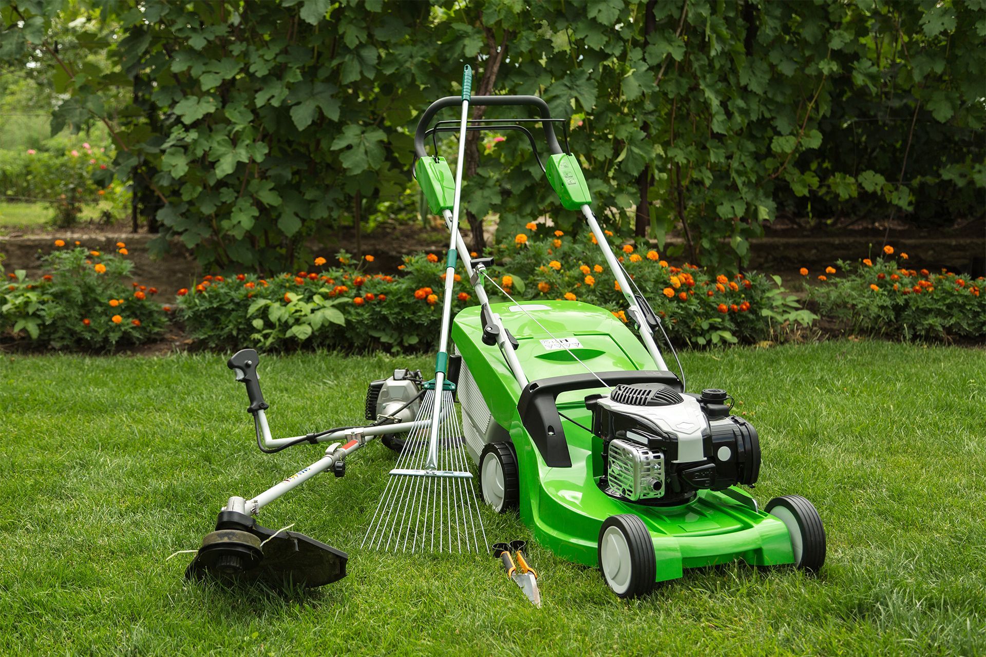 Lawn Care Tools