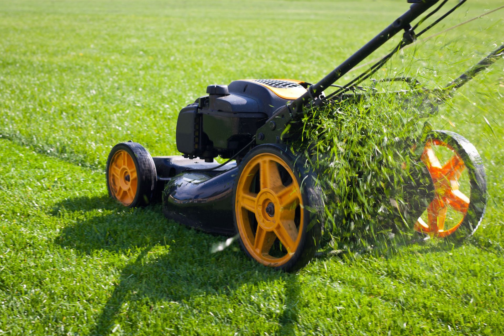 Lawn Mowing