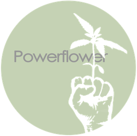 Powerflower logo with pale green circle, gray text, and a white hand holding a sprout