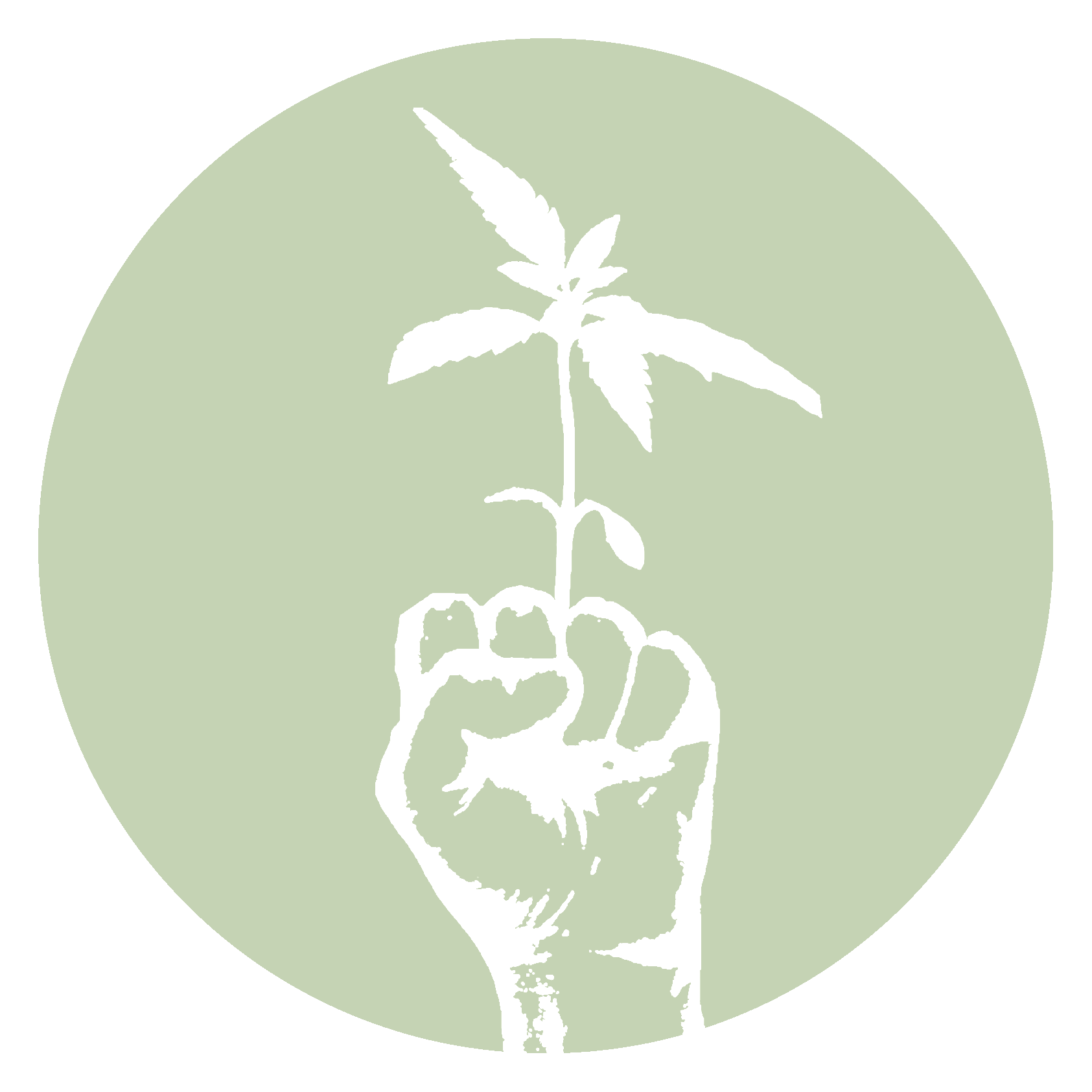 White hand holding a small green plant inside a pale green circle