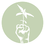White hand holding a small green plant inside a pale green circle