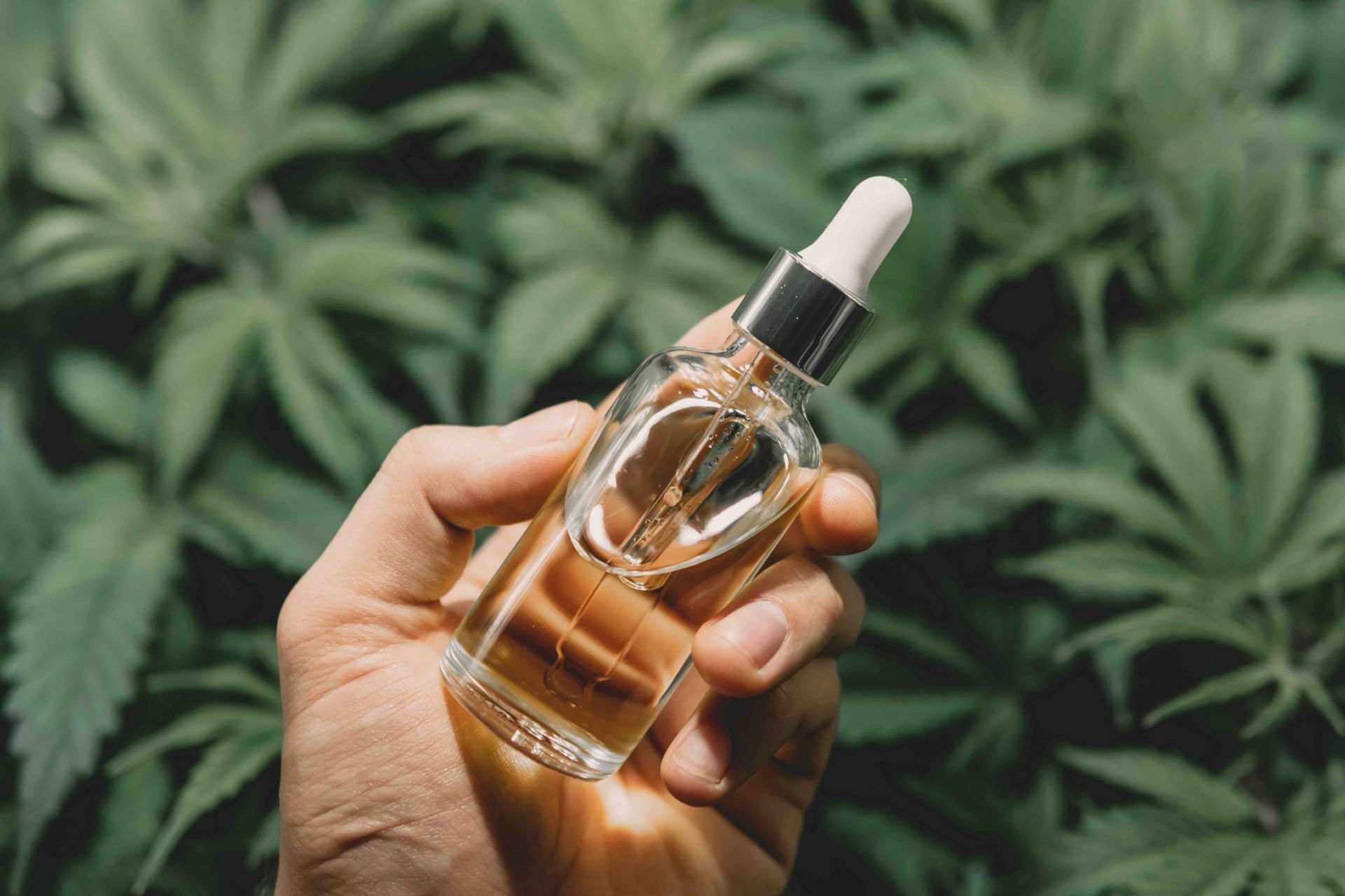 Hand holding a small amber glass bottle with a dropper against green leaves