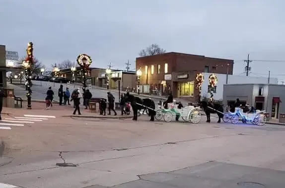 A horse drawn carriage is driving down a city street.