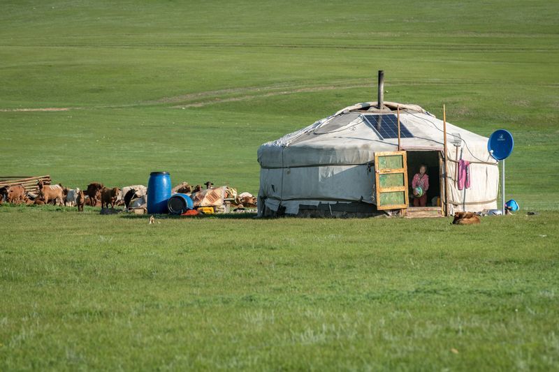 A yurt is sitting in the middle of a grassy field next to a herd of sheep.