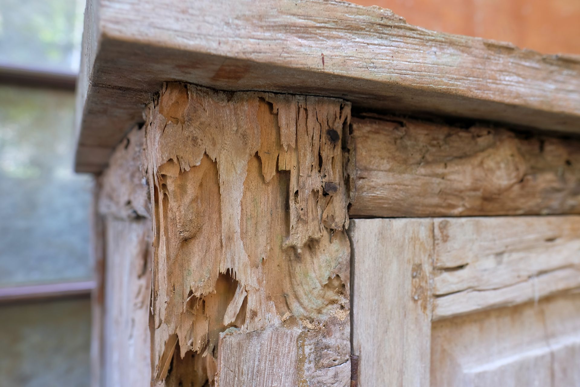 Close-up of rotting wood on a weathered log cabin corner with peeling bark and damaged beams
