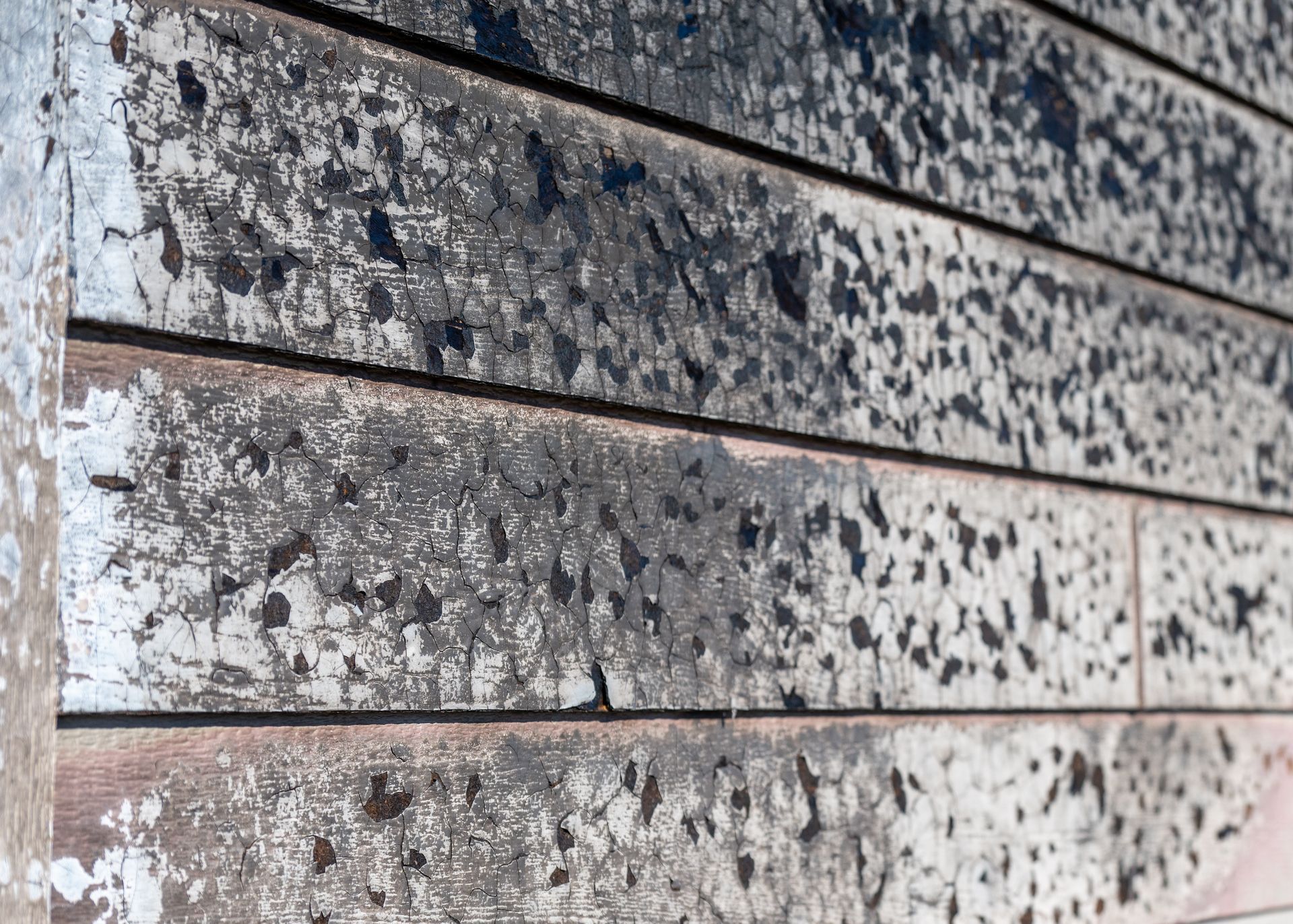 Close-up of weathered wooden planks with gray paint, peeling white patches, and black speckles