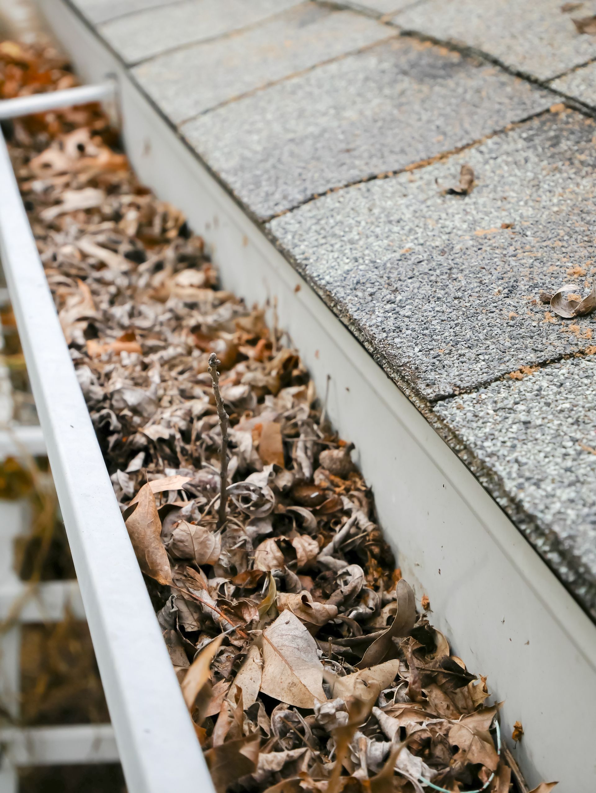 Residential gutter services in the Midwest