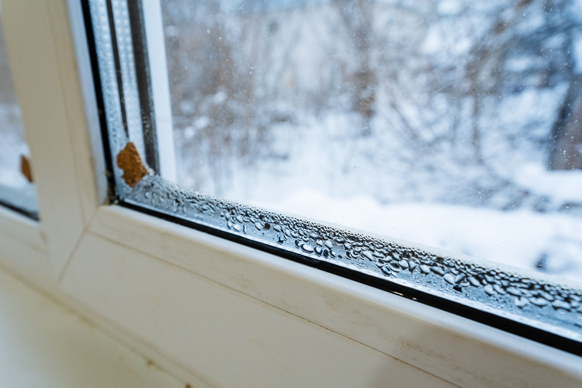 Window services in St. Louis, MO
