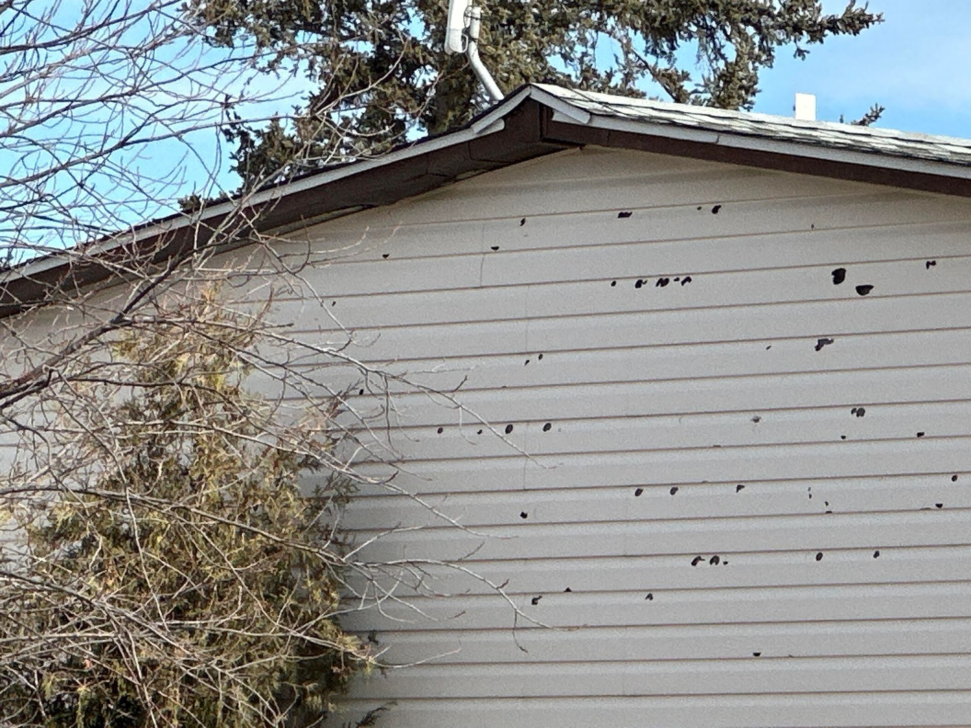 Siding replacement in St. Louis, MO