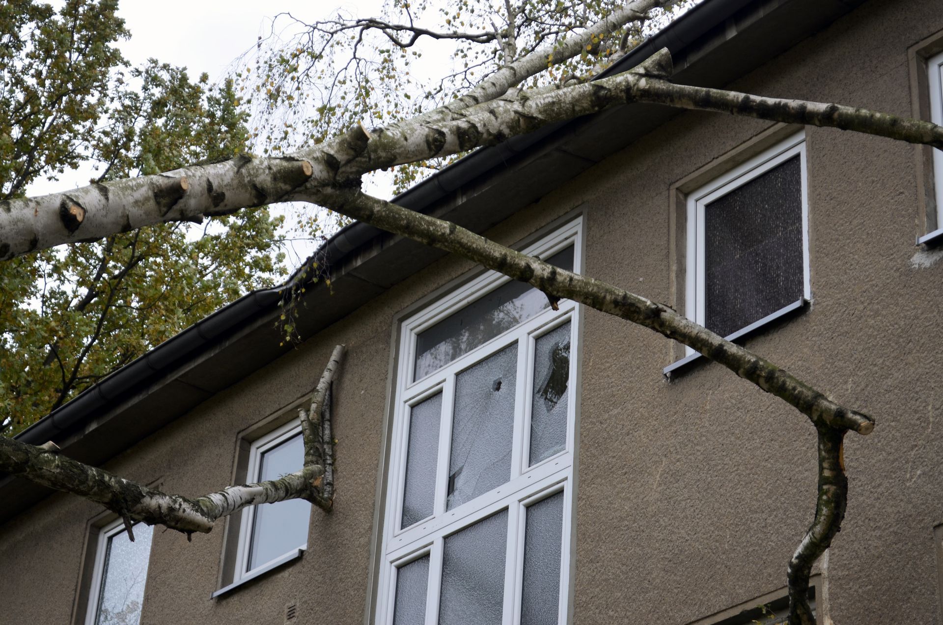 Storm damage repair services in St. Louis, MO