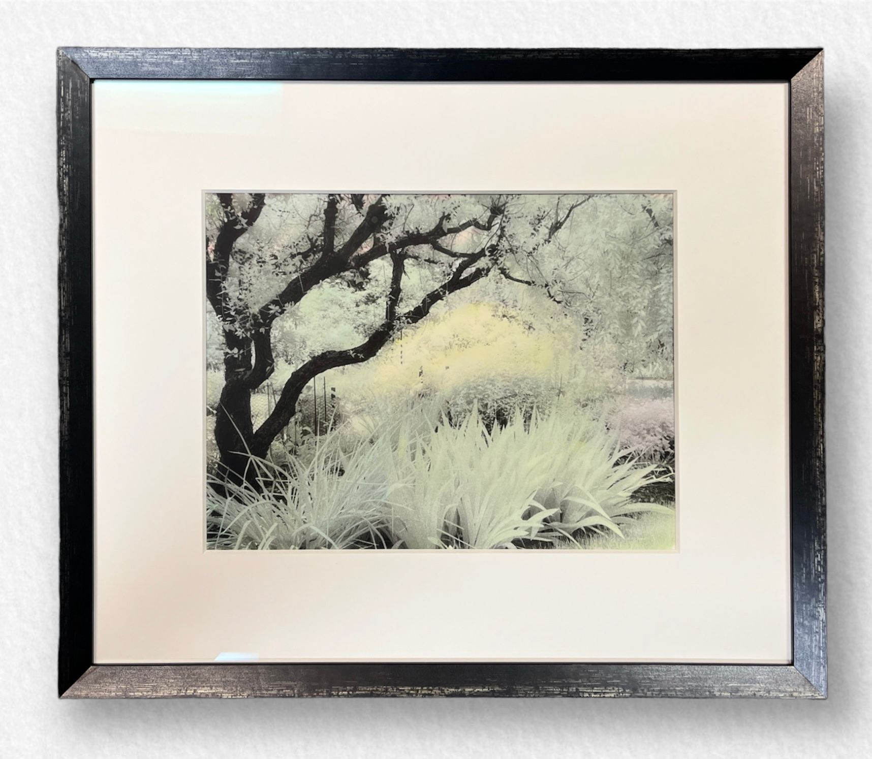 A framed black-and-white print showing a silhouetted tree next to tall, light-colored grasses in a soft, ethereal landscape.