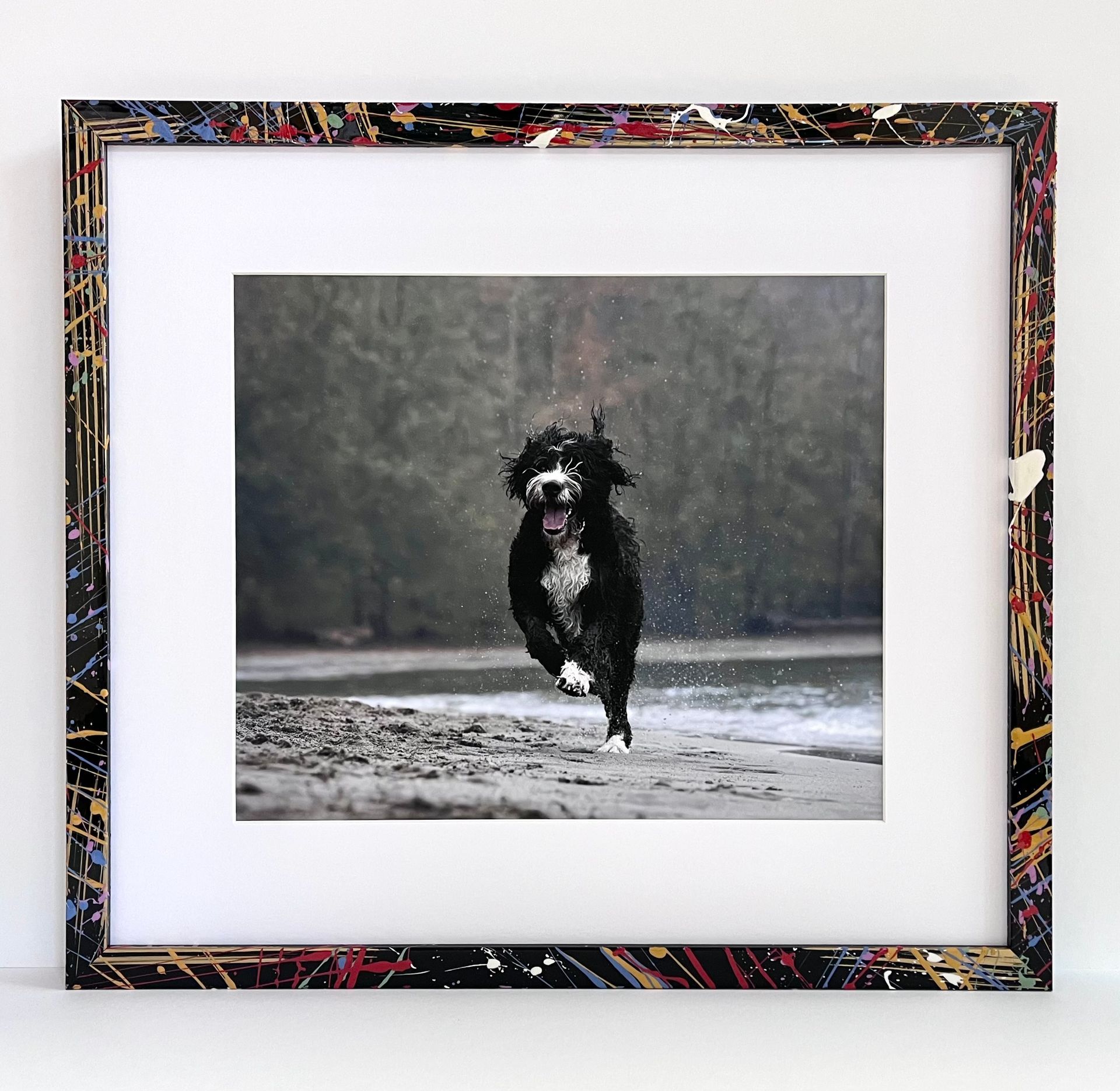 A black and white dog runs along a beach, displayed in a custom frame with a black, multi-colored paint-splatter finish.