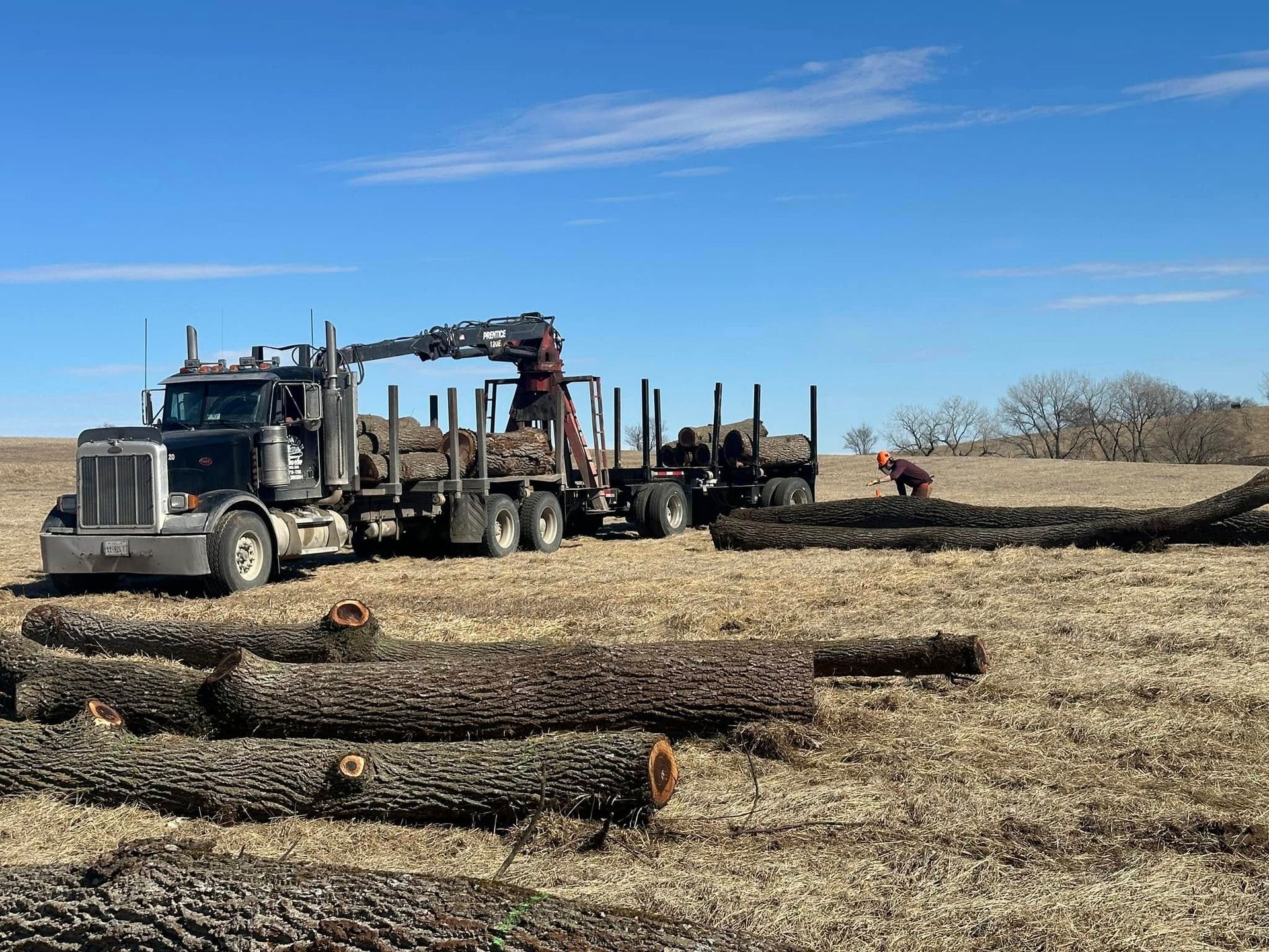 A logging truck loads logs in a field under a blue sky; worker in orange vest.