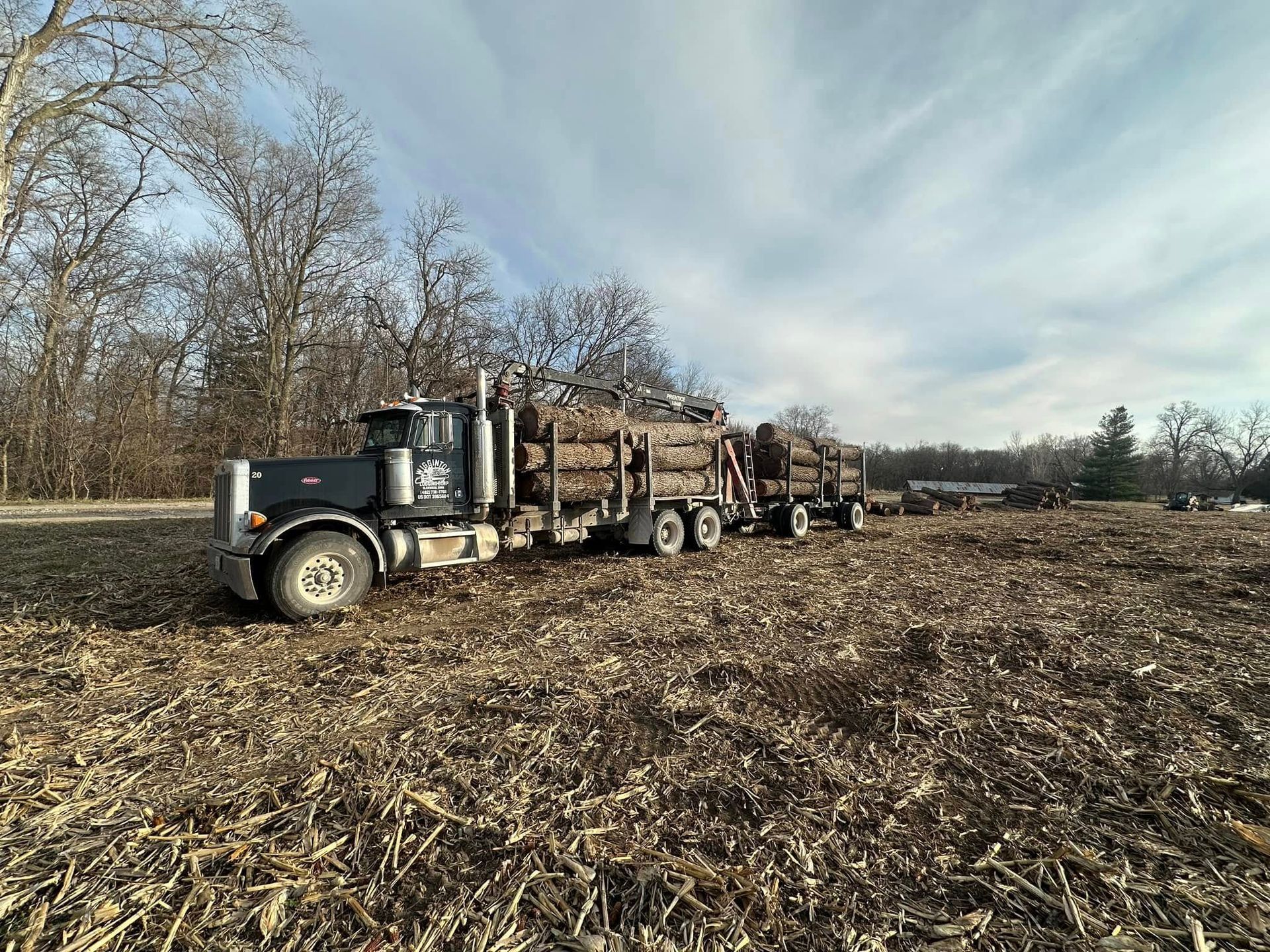 Logging truck loaded with logs parked in a harvested field under a cloudy sky.