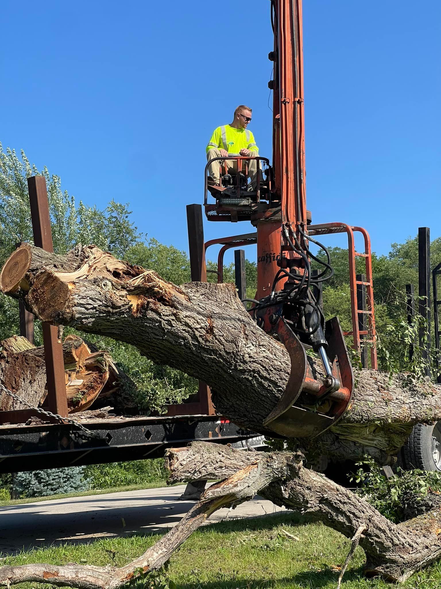 A worker operating a crane to load a large log onto a truck on a sunny day.
