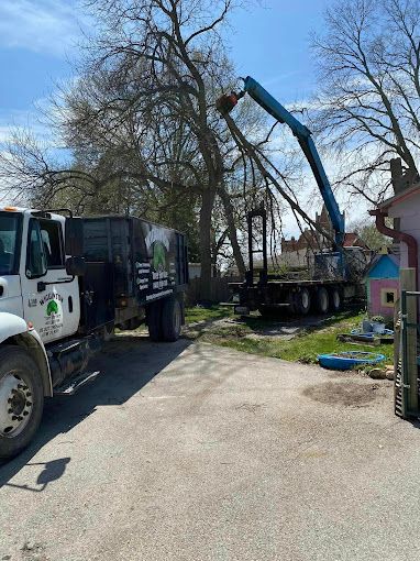 A tree service truck and lift trimming a tree in a residential yard.