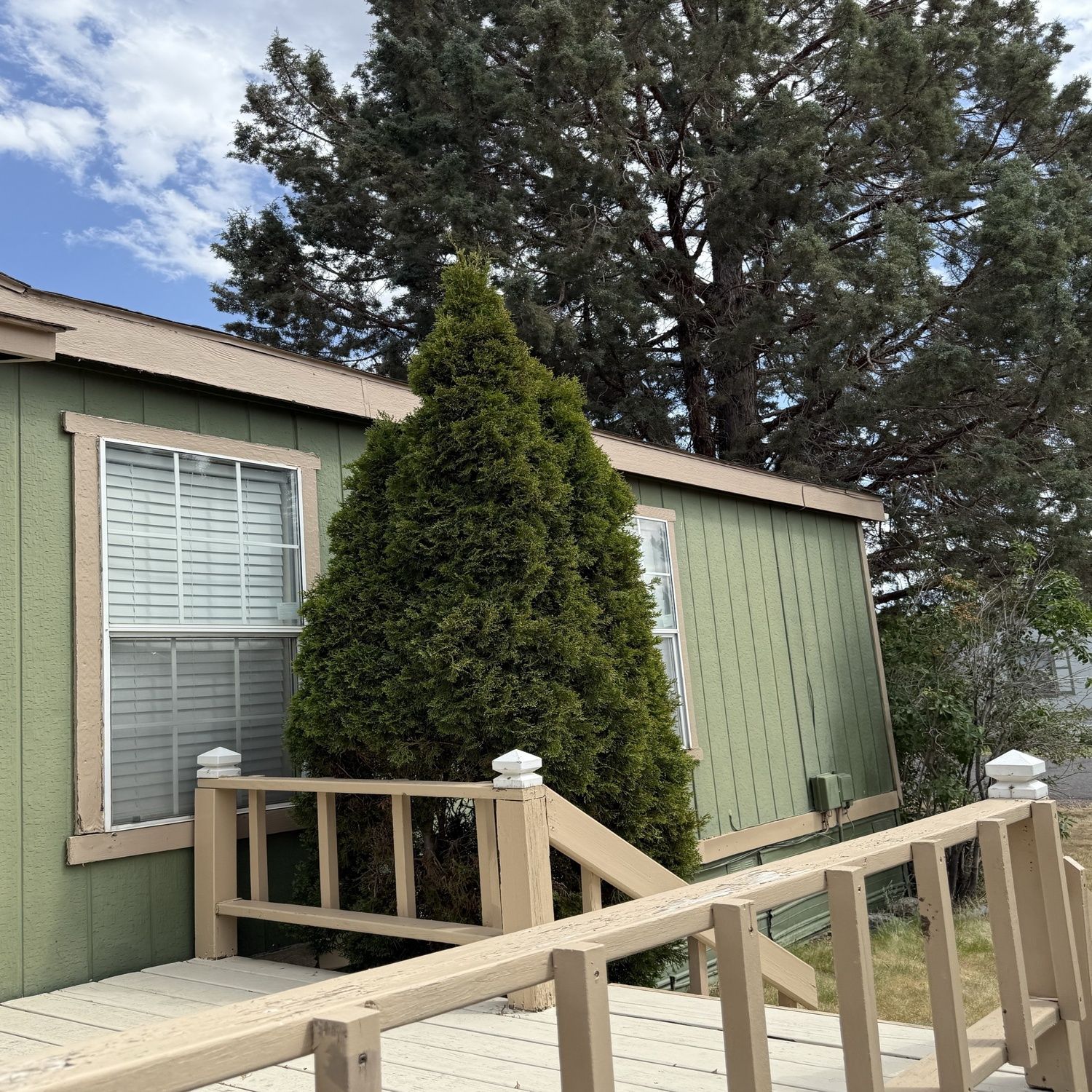 Green house exterior with a porch railing, window, and tall evergreen tree