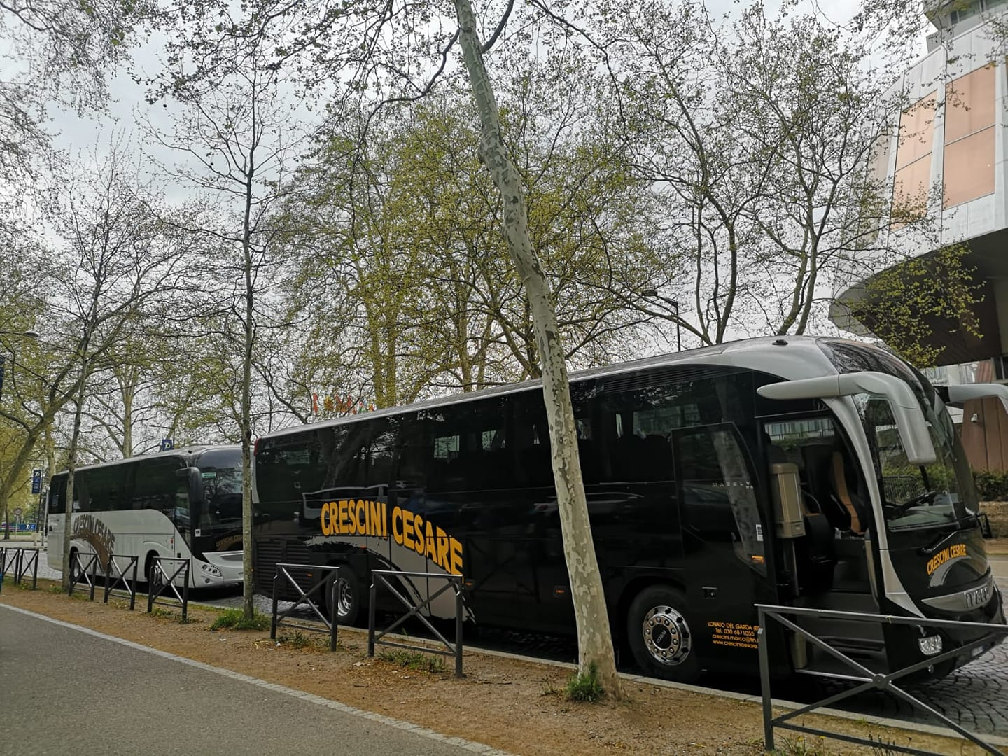 noleggio-autobus