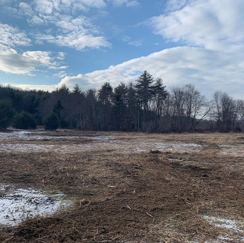 A field with patches of snow and brown grass, trees in the background, blue sky with clouds.
