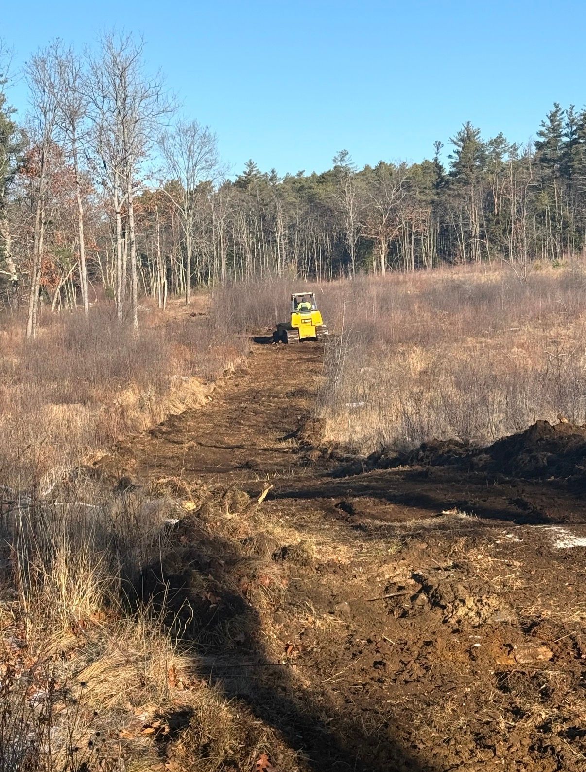 Tractor mulching vegetation, ejecting debris, in a field with green grass and foliage.
