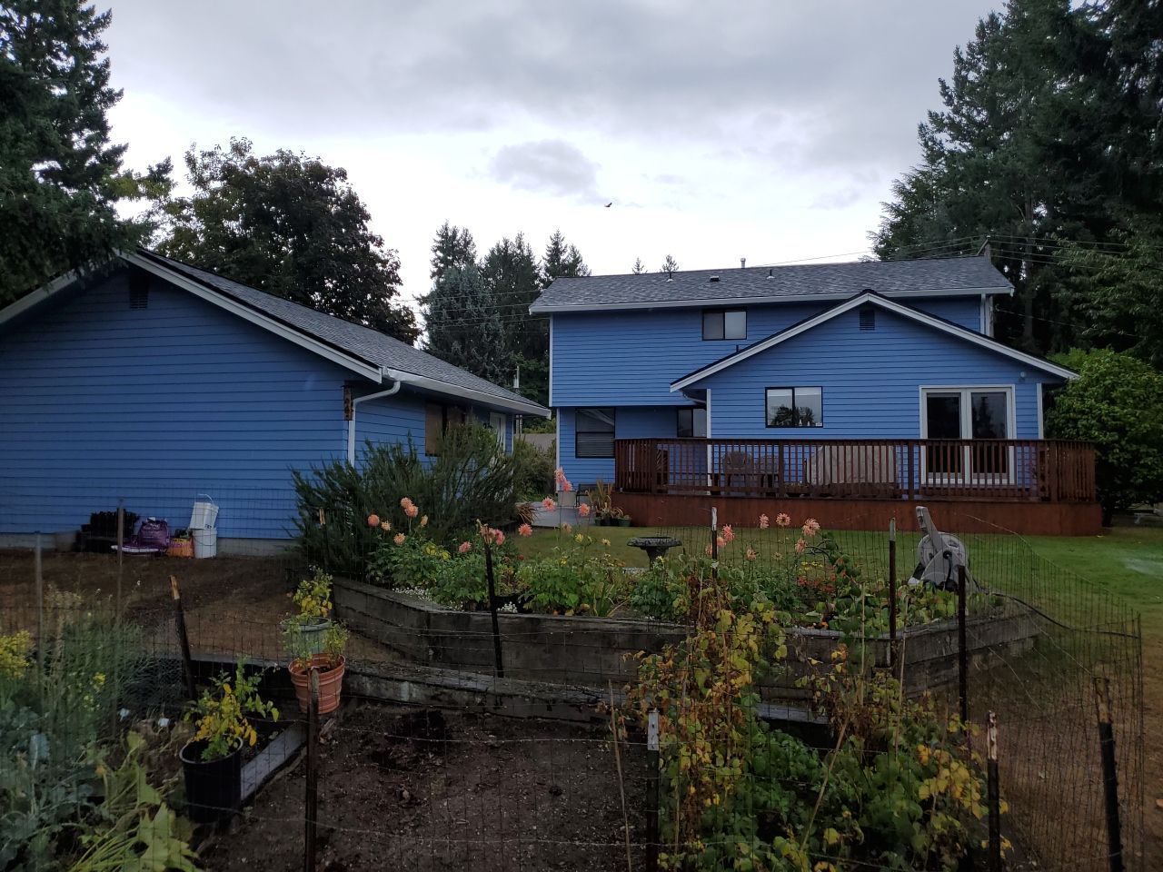 Two blue houses with a wooden deck and garden in a cloudy backyard setting