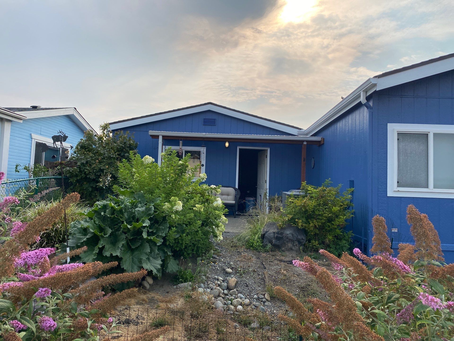 Blue house with a front garden and stone path, flanked by plants at sunset