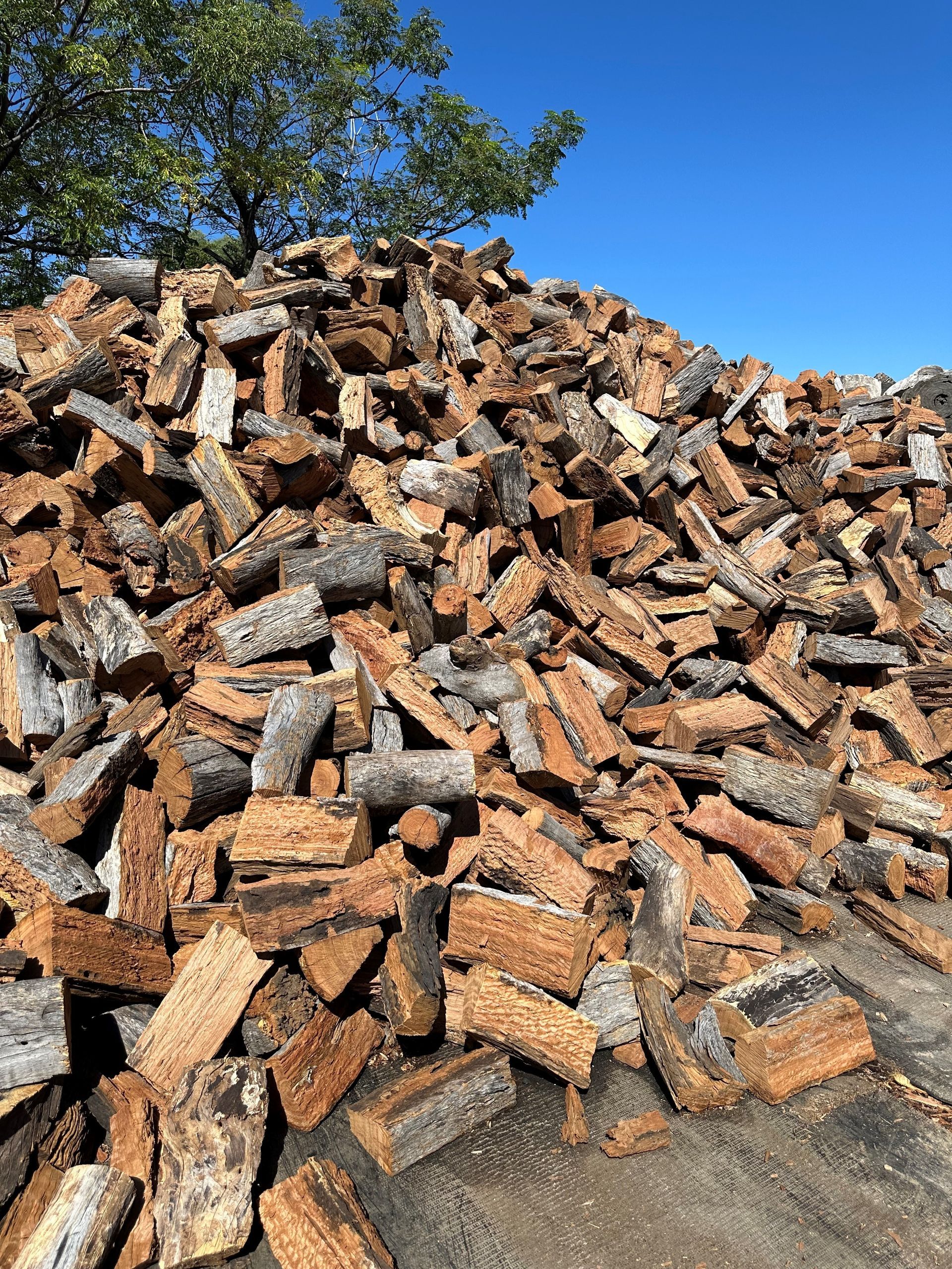 A Pile of Logs is Sitting on the Ground in Front of a Tree — Dampier Street Landscape Supplies in Taminda, NSW