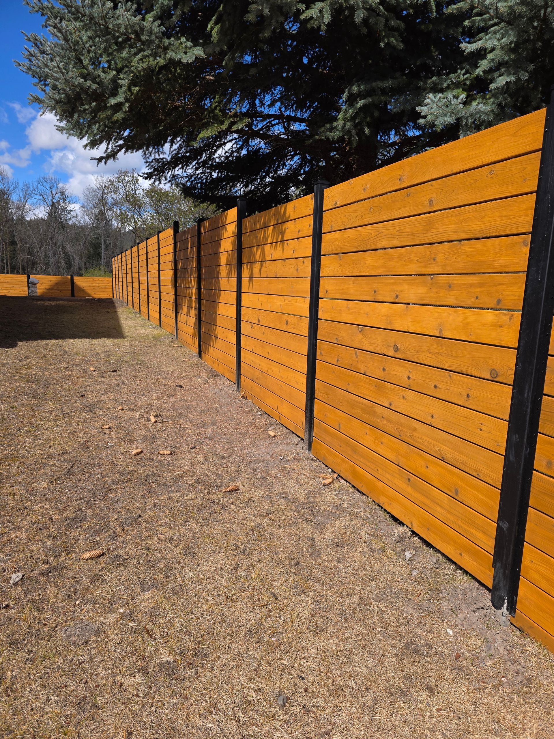 Orange wooden fence along a gravel path, with black posts and trees overhead under a blue sky