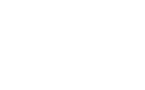 logo 950