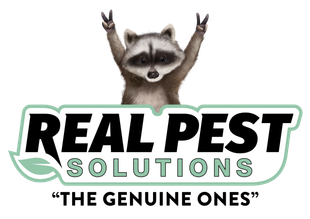 Logo for Real Pest Solutions featuring a shield icon divided between dark gray and light green with a white insect graphic.