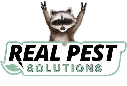 Logo for Real Pest Solutions featuring a shield icon divided between beige and green with a stylized bug in the center.
