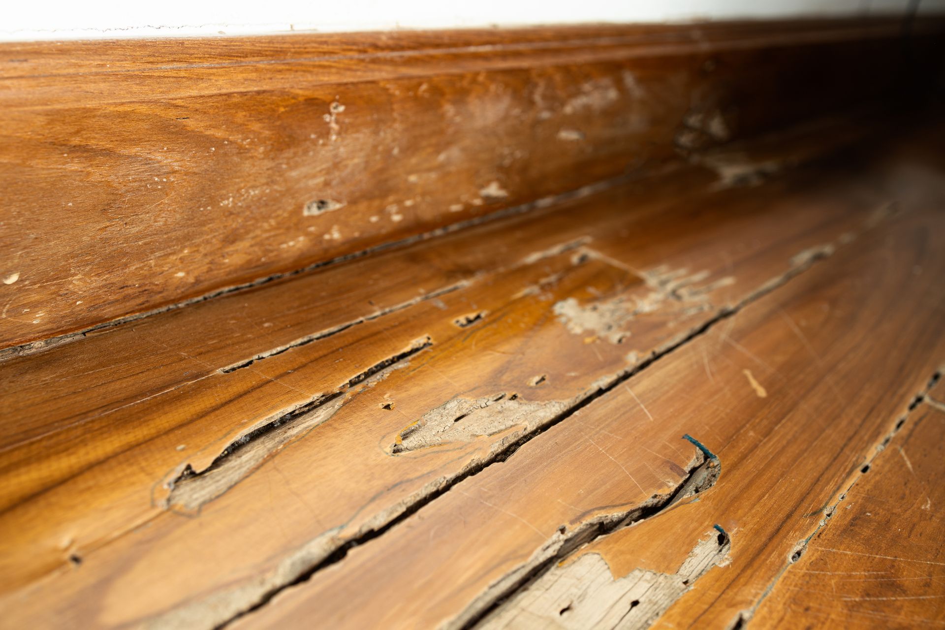Close-up of worn wooden floorboards with peeling finish and visible cracks