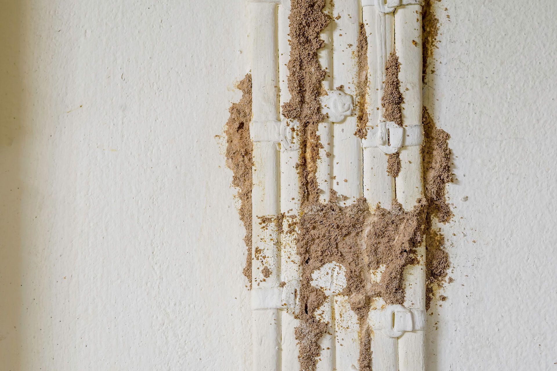 Close-up of a white wall with vertical brown water stains and peeling paint
