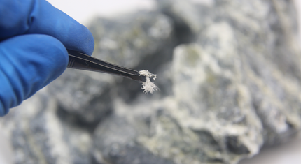 Gloved hand holding tweezers with a small white sample over a rocky surface