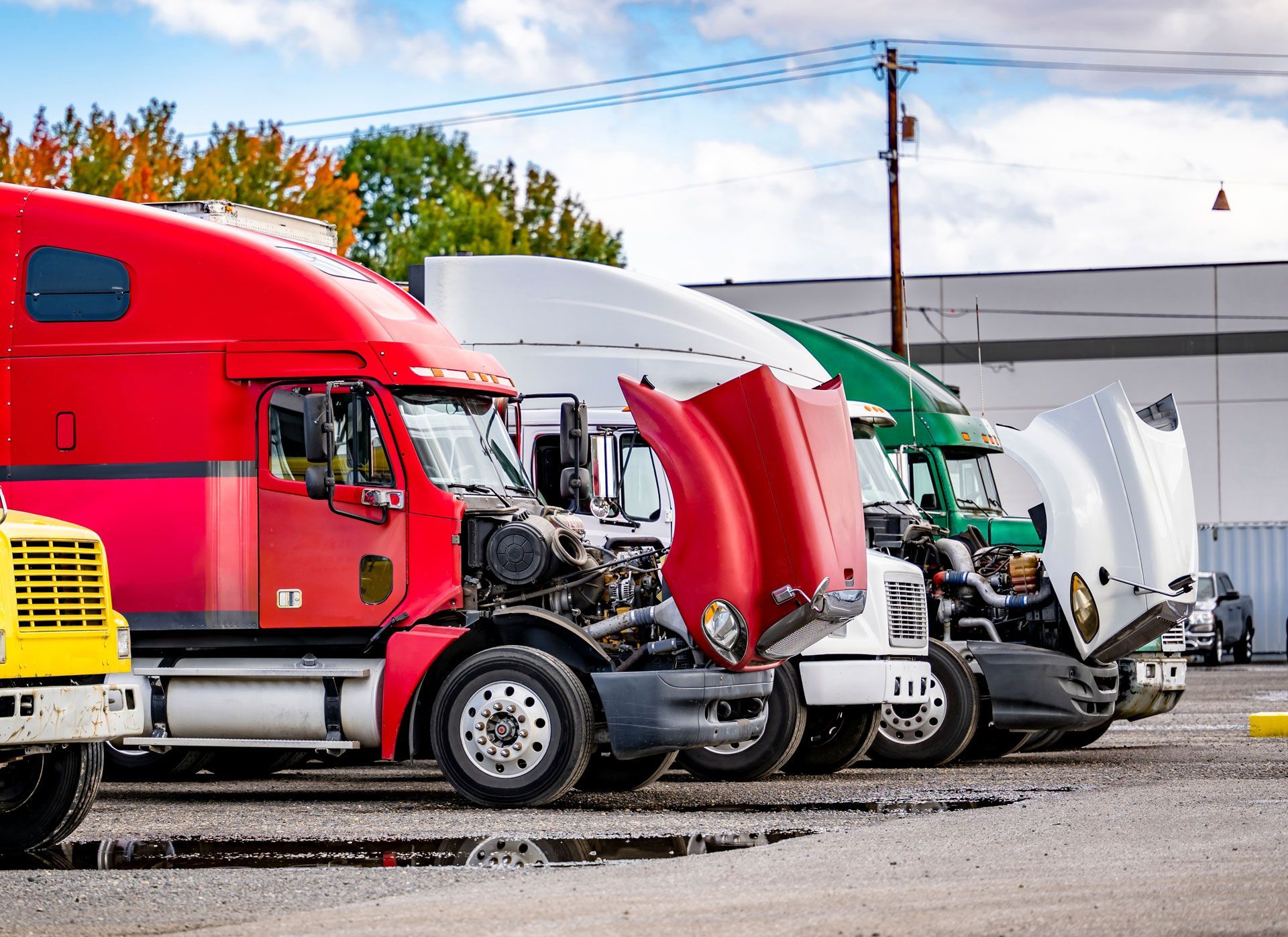 Row of parked semi trucks with open hoods, including red, white, and green cabs, in a lot