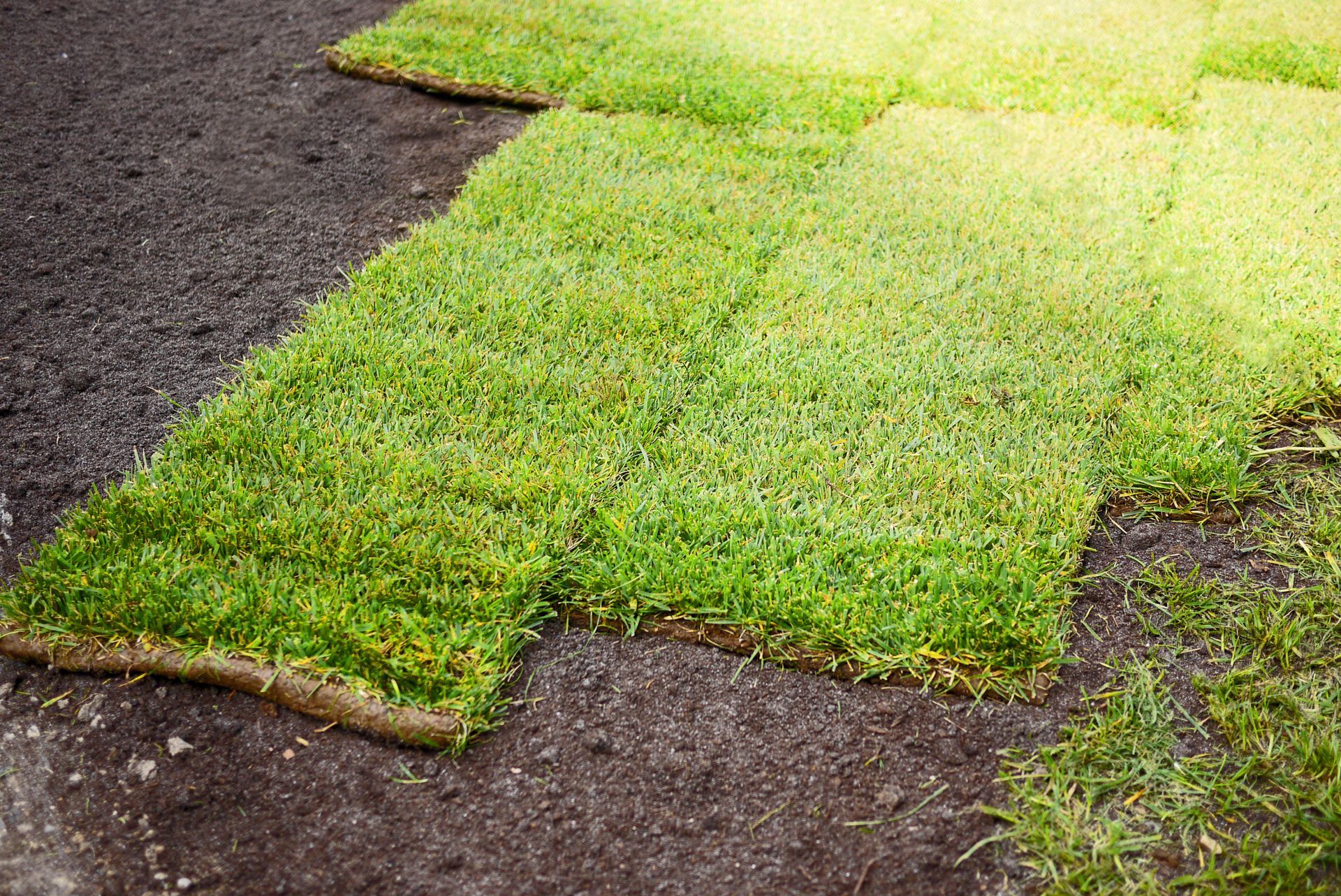 A bunch of rolls of grass are laying on the ground.