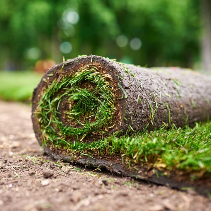Roll Grass — Citrus Heights, CA – Cal Lawn Sod