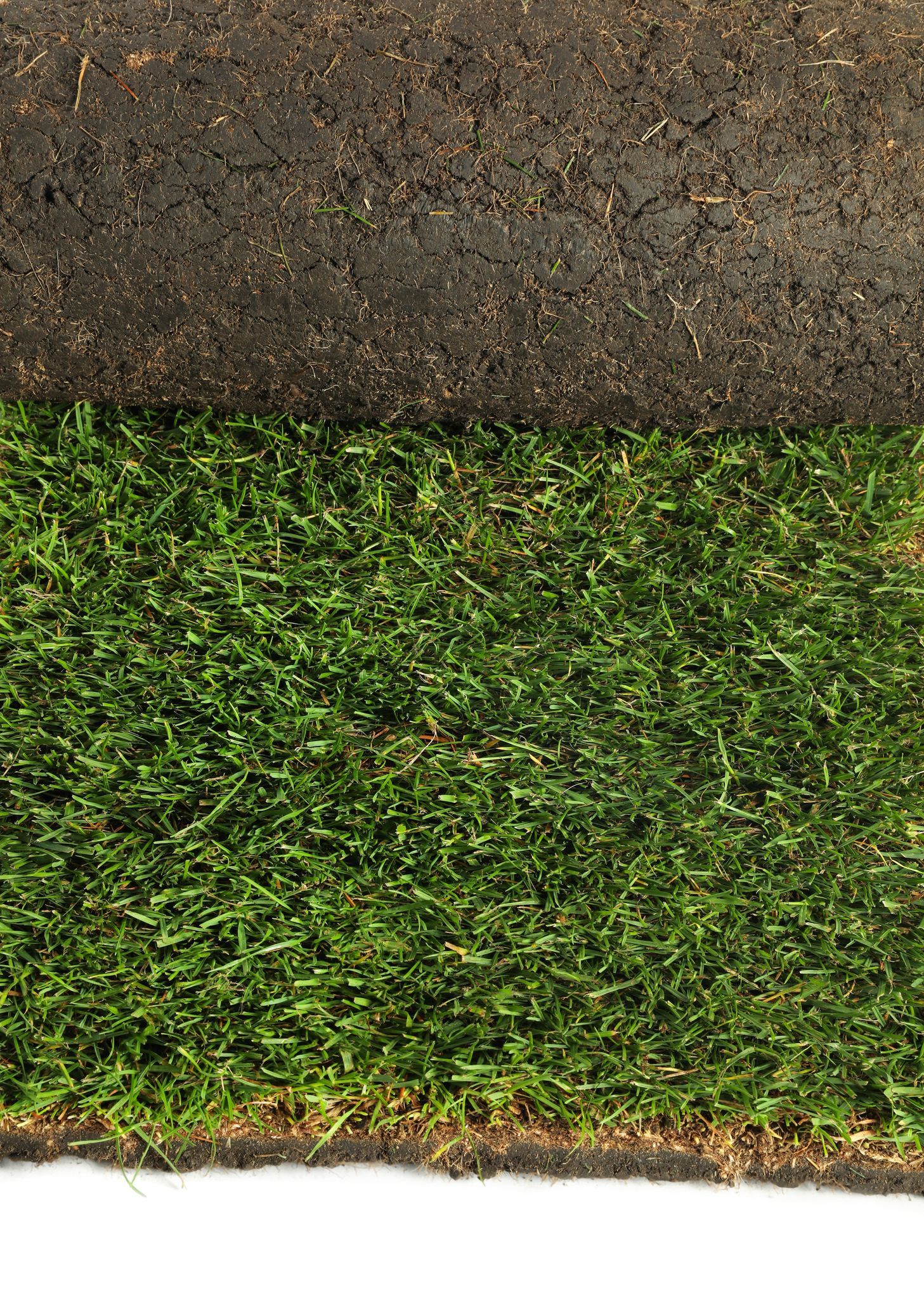 A close up of a roll of artificial grass on a white background.