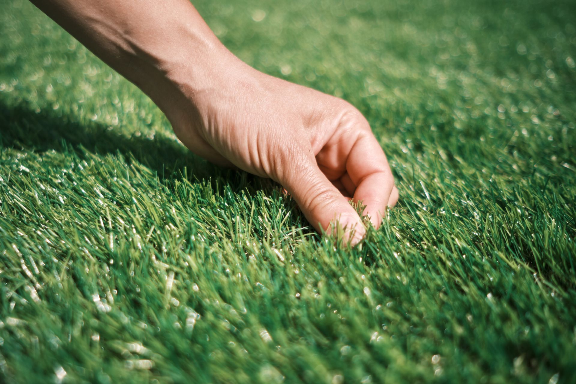 A person is touching the grass with their hand.