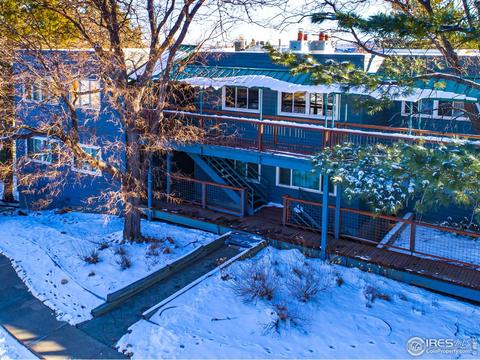 Snow-covered building with a blue roof and walkway beside trees in winter.