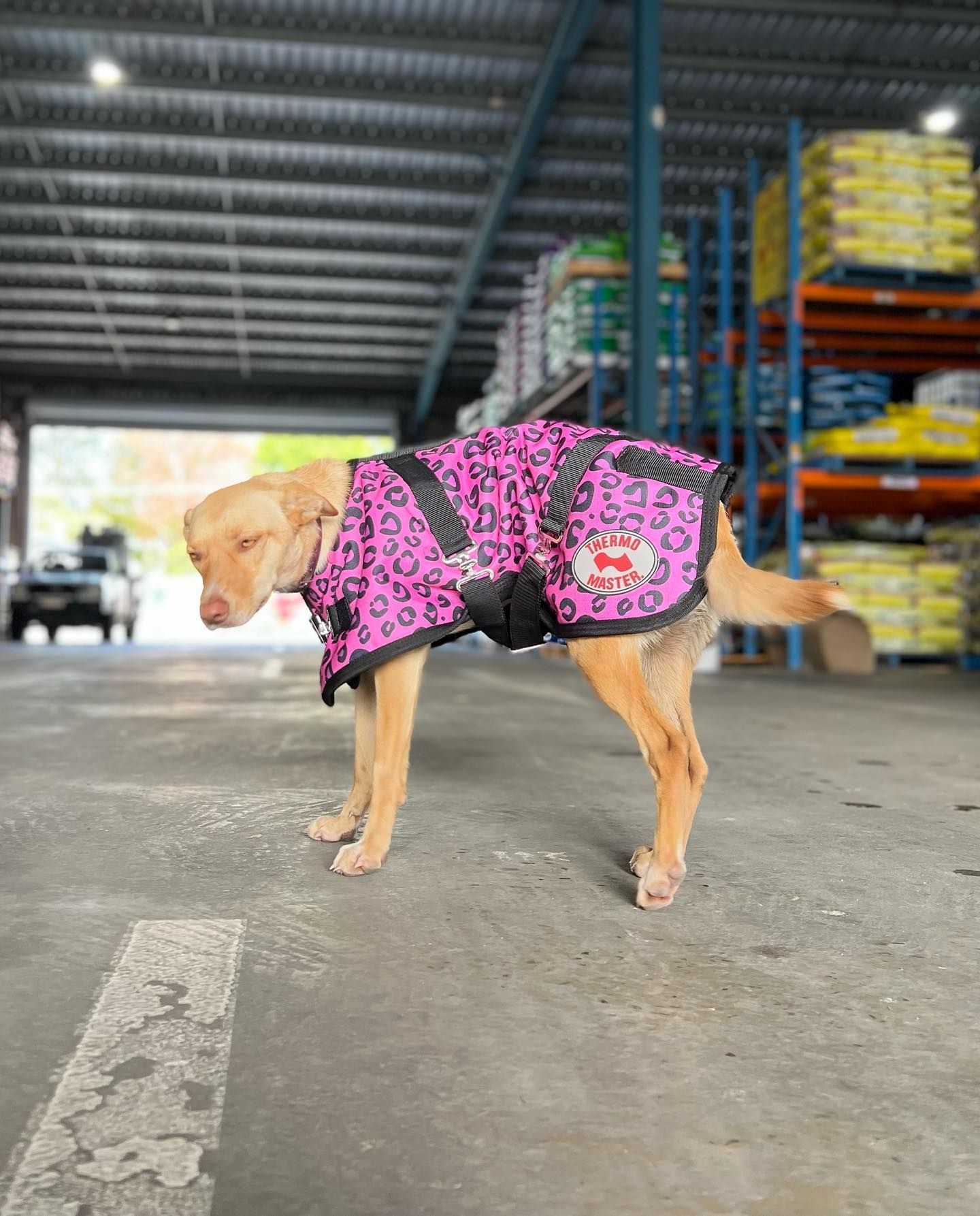 Gallery Kempsey Produce & Saddlery