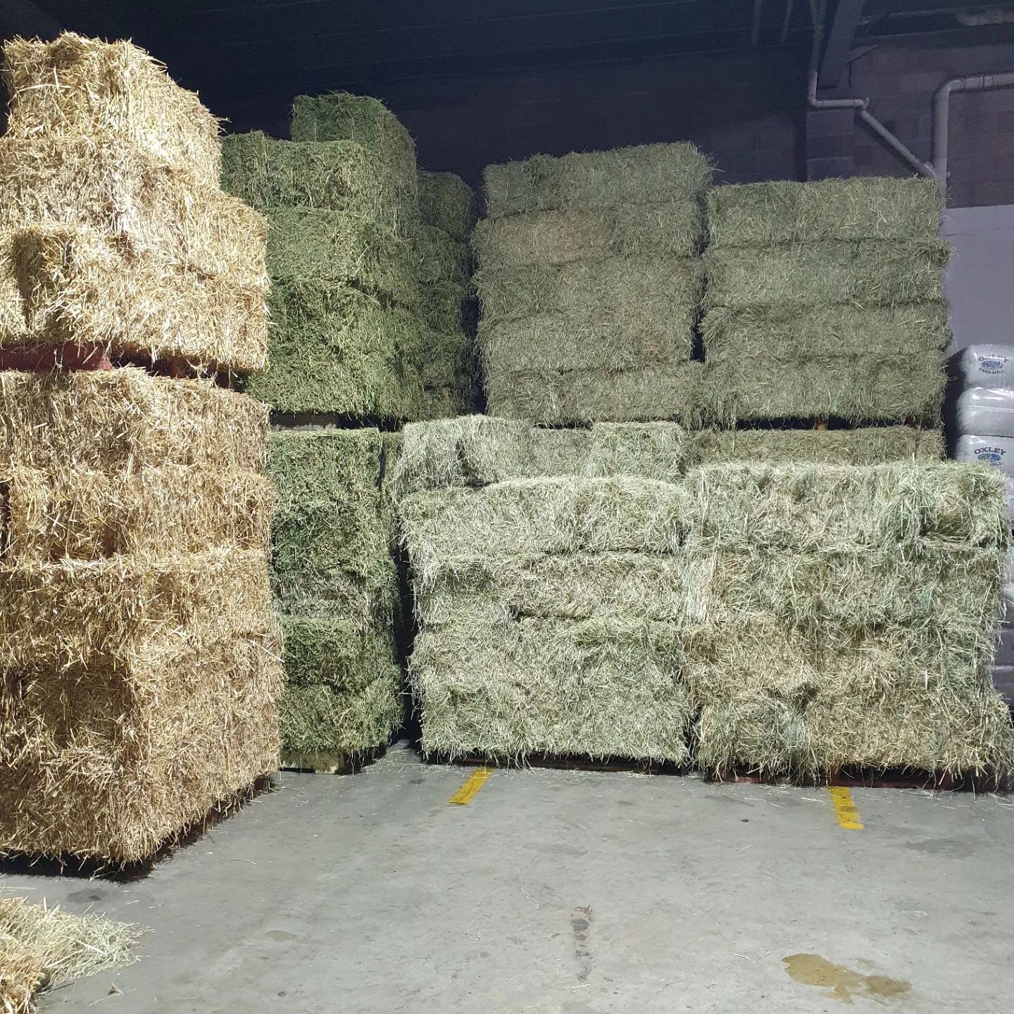 Gallery Kempsey Produce & Saddlery